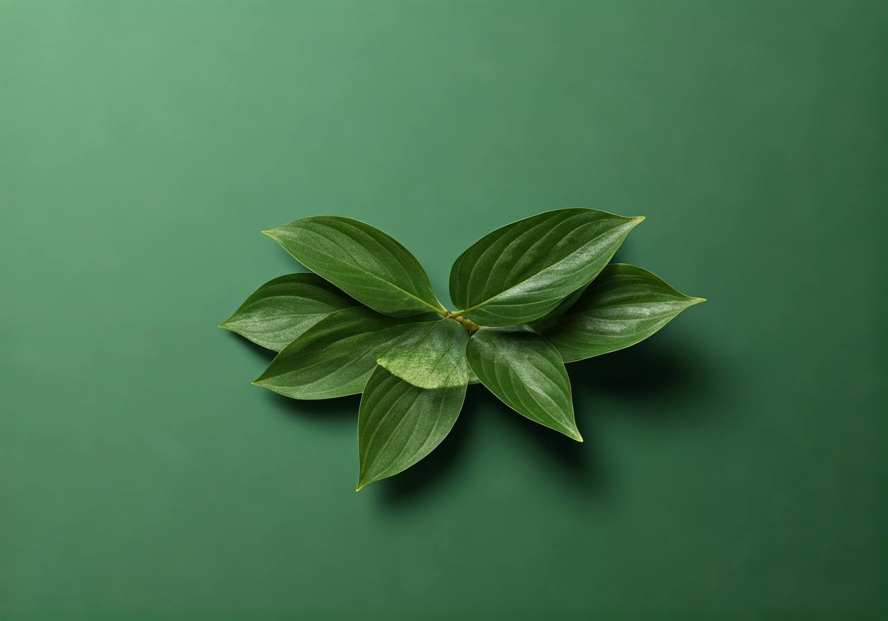 Imagem ilustrativa para parágrafo 10