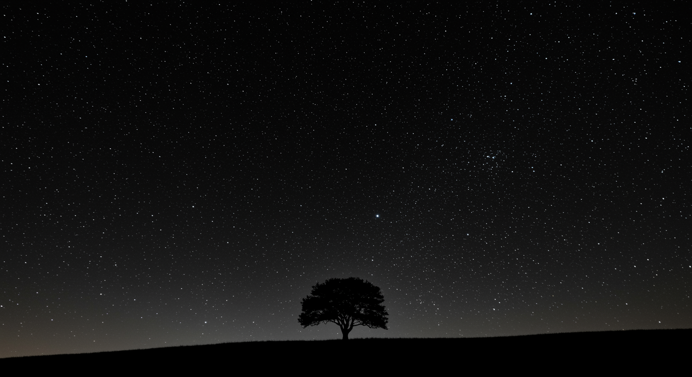 aesthetic wallpaper black
