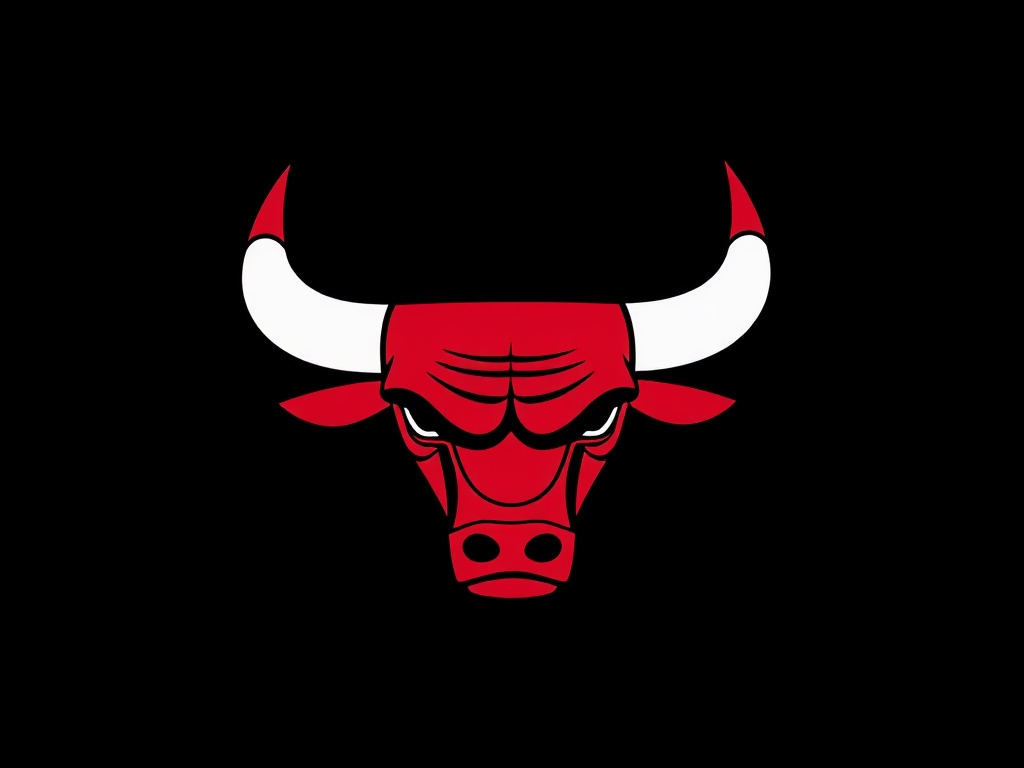 Chicago Bulls image